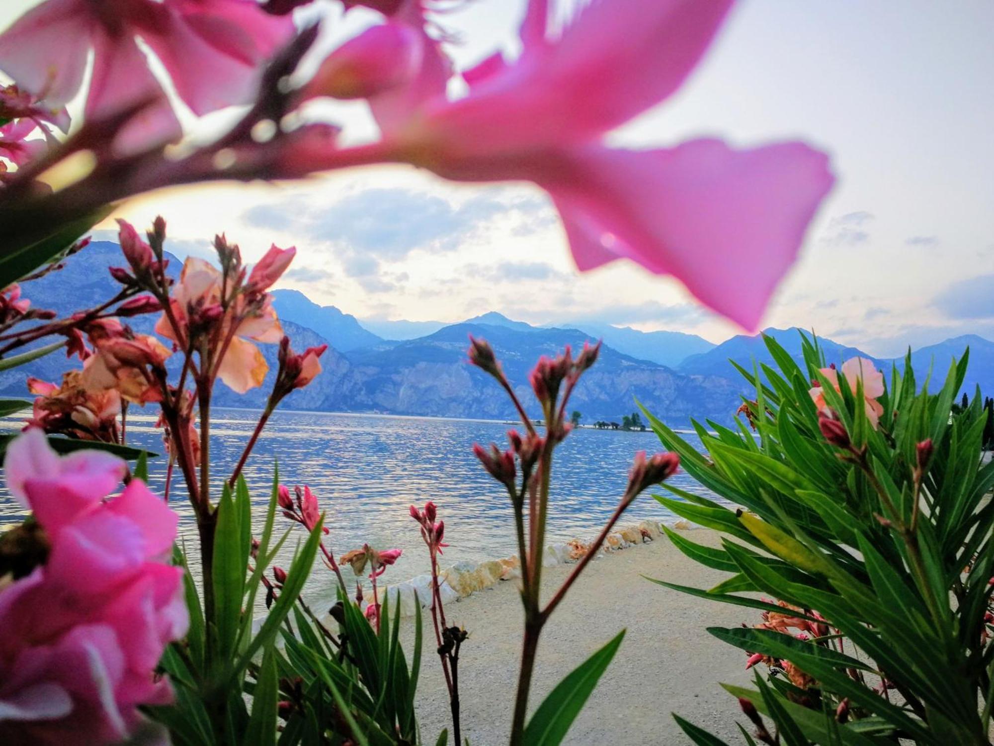 Drago - Garda Collection Hotel Brenzone sul Garda